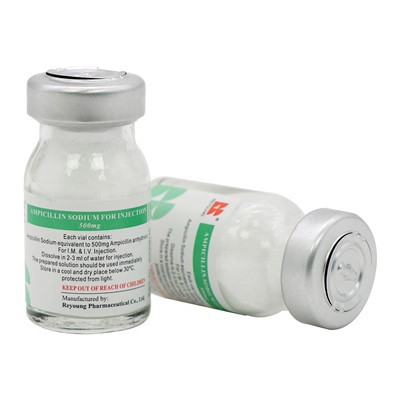Ampicillin Sodium For Injection 500mg